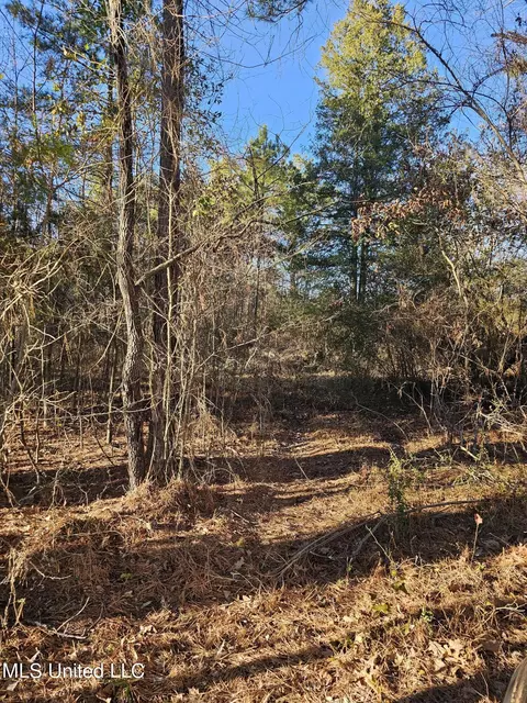 262 Pine Grove Rd, Canton, MS 39046 photo 3