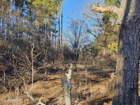 262 Pine Grove Rd, Canton, MS 39046 photo 2