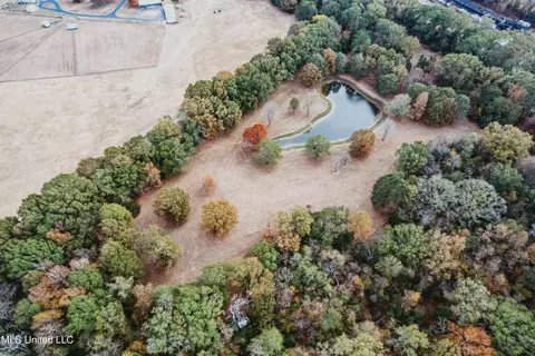 636 Livingston Vernon Rd, Flora, MS 39071