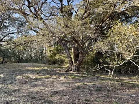 lot1 Marshall Smith Rd, Lucedale, MS 39452 photo 3