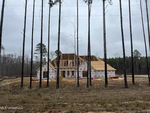 227 Lost Oak Ln, Brandon, MS 39047