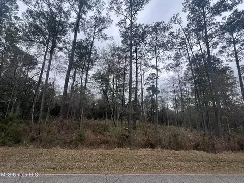 Hampton Road, Picayune, MS 39466 photo 2