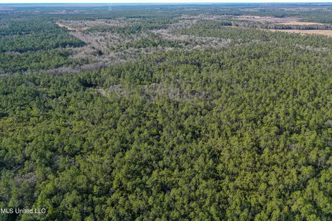 0 Gavin Hamilton Rd, Moss Point, MS 39562 photo 10
