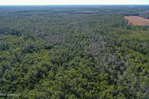 0 Gavin Hamilton Rd, Moss Point, MS 39562 photo 9