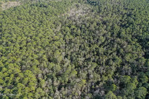 0 Gavin Hamilton Rd, Moss Point, MS 39562 photo 3