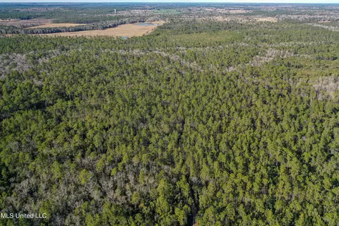 0 Gavin Hamilton Rd, Moss Point, MS 39562 photo 11