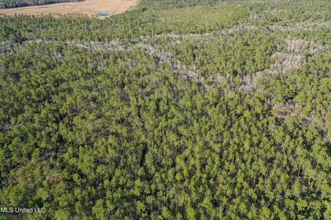 0 Gavin Hamilton Rd, Moss Point, MS 39562 photo 14