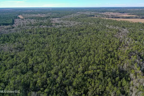 0 Gavin Hamilton Rd, Moss Point, MS 39562 photo 5