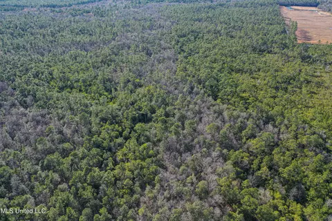 0 Gavin Hamilton Rd, Moss Point, MS 39562 photo 8