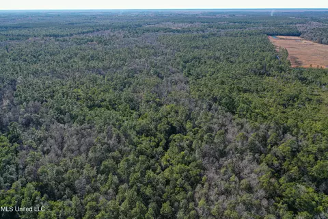 0 Gavin Hamilton Rd, Moss Point, MS 39562 photo 7