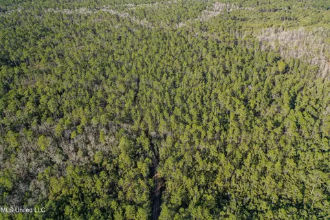 0 Gavin Hamilton Rd, Moss Point, MS 39562 photo 13
