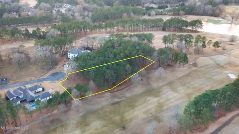 110 Carlyle Dr, Madison, MS 39110 photo 12