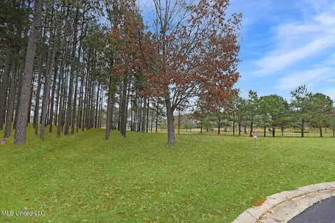 110 Carlyle Dr, Madison, MS 39110 photo 4