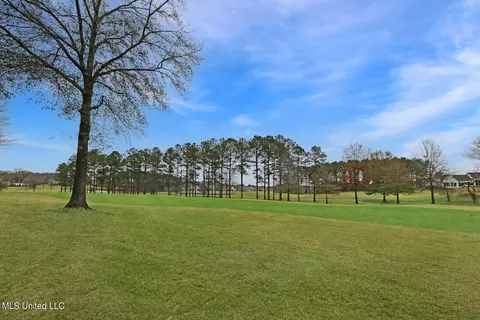 110 Carlyle Dr, Madison, MS 39110 photo 6