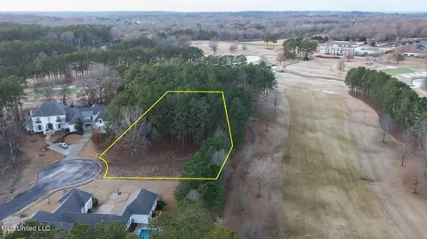 110 Carlyle Dr, Madison, MS 39110 photo 9