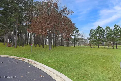 110 Carlyle Dr, Madison, MS 39110 photo 3