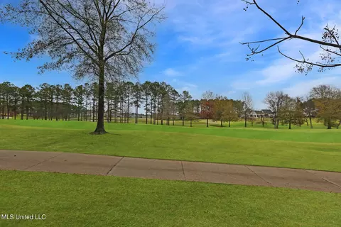 110 Carlyle Dr, Madison, MS 39110 photo 7
