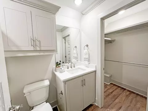 Bath - 658 Prosperity Pl, Brandon, MS 39042 photo 7 of 8