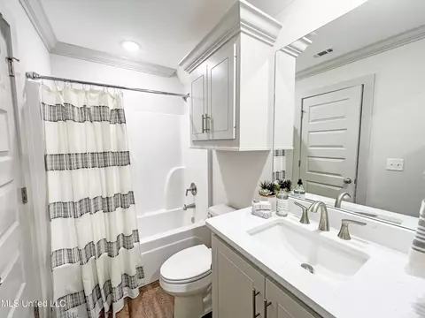 Bath - 658 Prosperity Pl, Brandon, MS 39042 photo 8 of 8