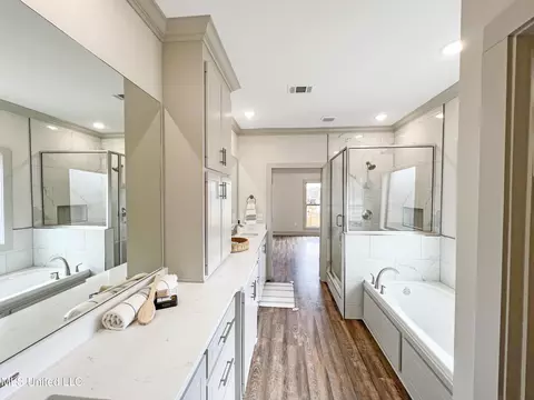 Bath - 658 Prosperity Pl, Brandon, MS 39042 photo 3 of 8