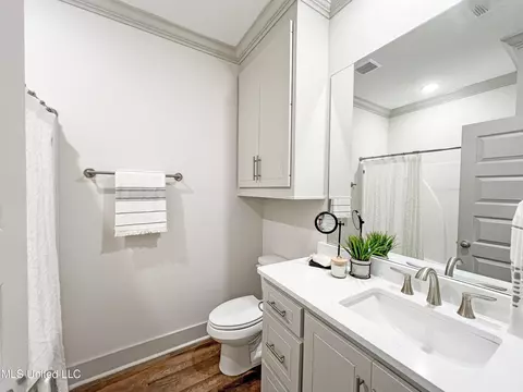 Bath - 658 Prosperity Pl, Brandon, MS 39042 photo 6 of 8