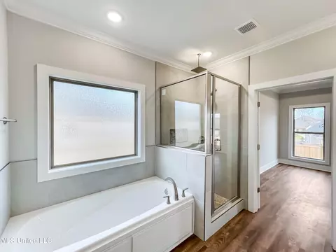 Bath - 656 Prosperity Pl, Brandon, MS 39042 photo 3 of 4