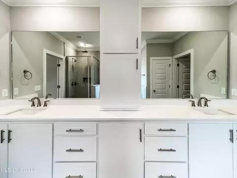 Bath - 656 Prosperity Pl, Brandon, MS 39042 photo 2 of 4