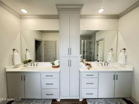 Bath - 428 Assurance Way, Brandon, MS 39042 photo 3 of 8