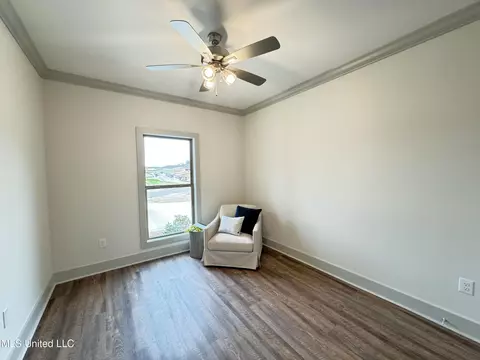 Living - 428 Assurance Way, Brandon, MS 39042 photo 5 of 5