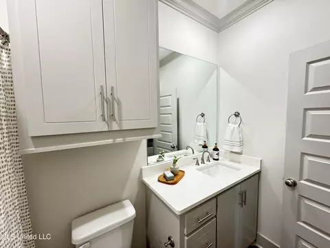 Bath - 428 Assurance Way, Brandon, MS 39042 photo 5 of 8