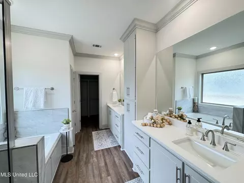 Bath - 428 Assurance Way, Brandon, MS 39042 photo 1 of 8