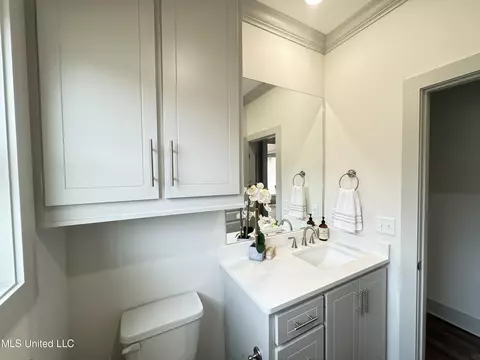 Bath - 428 Assurance Way, Brandon, MS 39042 photo 8 of 8