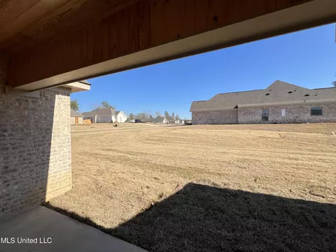 Exterior - 428 Assurance Way, Brandon, MS 39042 photo 3 of 5