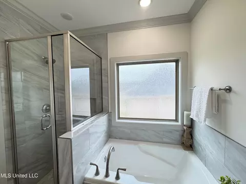 Bath - 428 Assurance Way, Brandon, MS 39042 photo 2 of 8