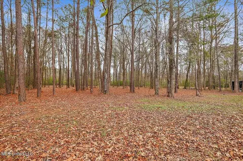 Exterior - 152 Forest Lake Dr, Byram, MS 39272 photo 7 of 7