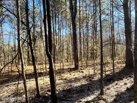 Factory Road, Eupora, MS 39744 photo 7