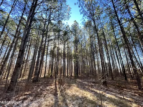 Factory Road, Eupora, MS 39744 photo 5