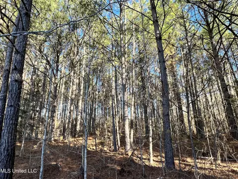 Factory Road, Eupora, MS 39744 photo 3