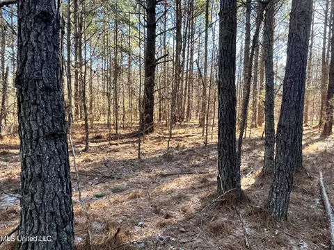 Factory Road, Eupora, MS 39744 photo 6