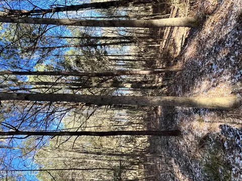 Factory Road, Eupora, MS 39744 photo 8