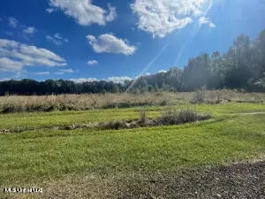 1033 Little Springs Dr, Utica, MS 39175