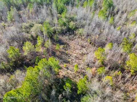 Old Pearl Road, Florence, MS 39073 photo 5