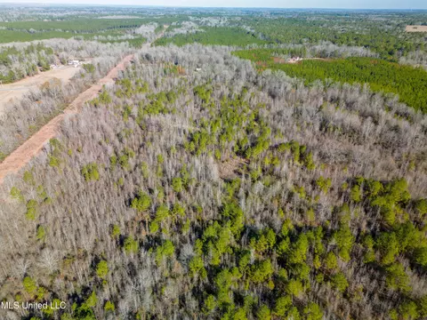Old Pearl Road, Florence, MS 39073 photo 6