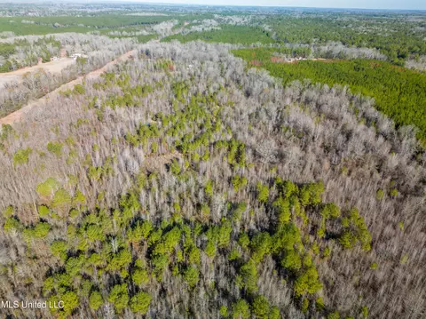 Old Pearl Road, Florence, MS 39073 photo 7