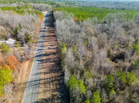 Old Pearl Road, Florence, MS 39073 photo 2