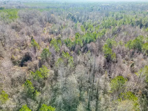 Old Pearl Road, Florence, MS 39073 photo 3
