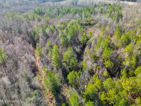 Old Pearl Road, Florence, MS 39073 photo 4
