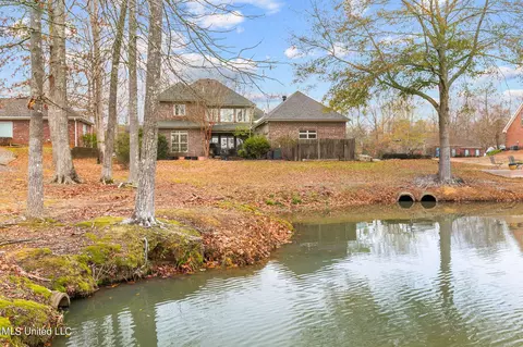 241 Pimlico Dr, Brandon, MS 39042 photo 53