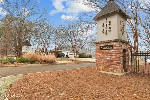 241 Pimlico Dr, Brandon, MS 39042 photo 55