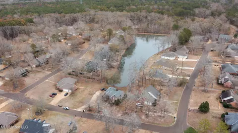 241 Pimlico Dr, Brandon, MS 39042 photo 60